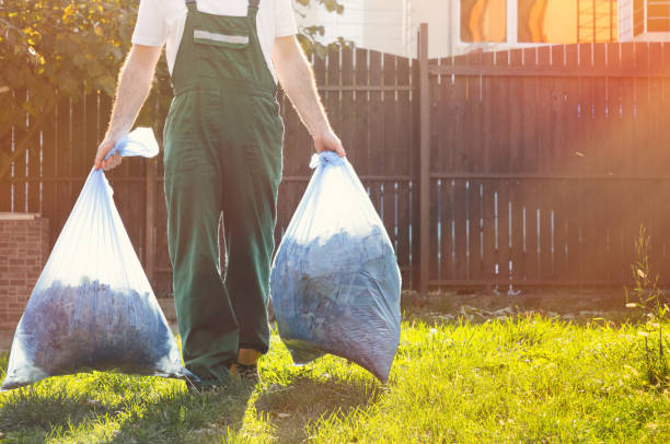 Best Same-Day Junk Removal  in Reinbeck, IA
